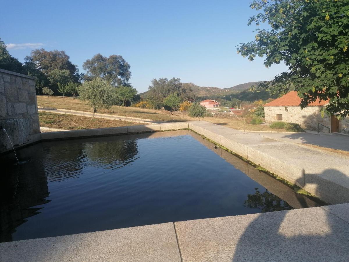 Lirios Da Granja - Casa De Campo Экстерьер фото
